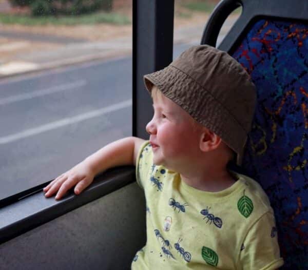 Getting around Sunshine Coast